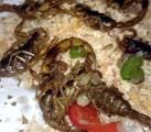 Fried Scorpions.jpg